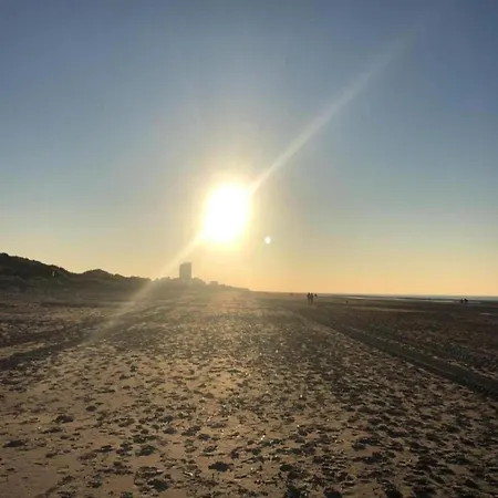 Beachfront Vitalo 502 Koksijde