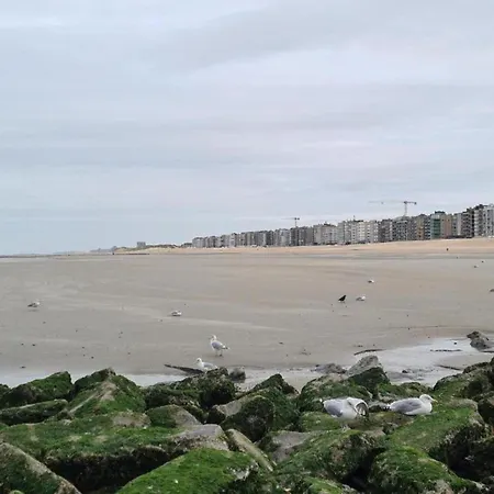 Beachfront Vitalo 502 *