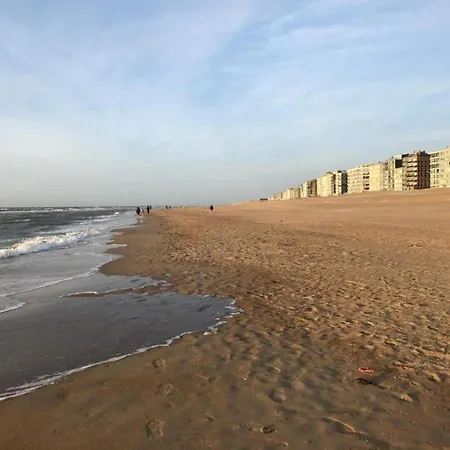 Beachfront Vitalo 502